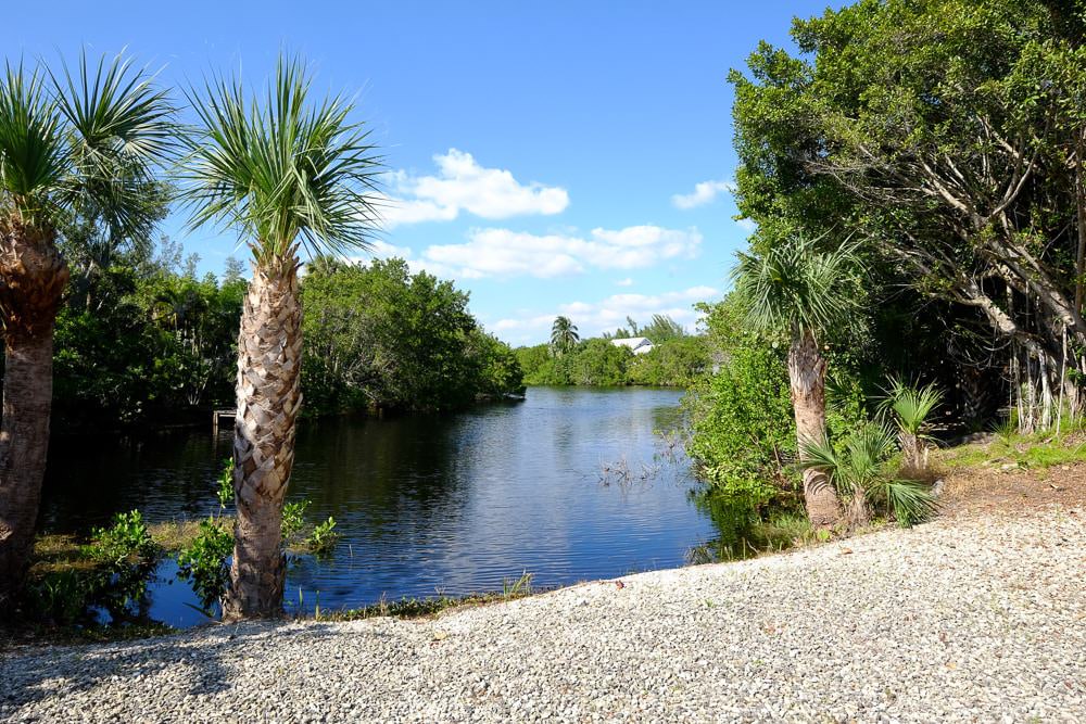 alligators on sanibel