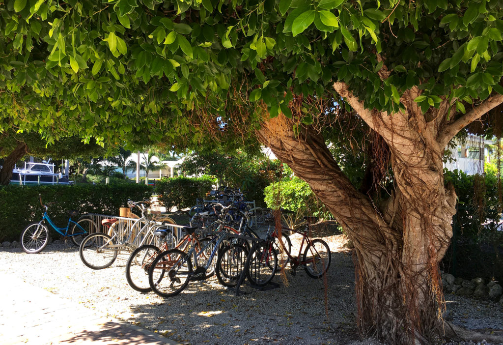 Biking can help you avoid traffic jams on Sanibel Island