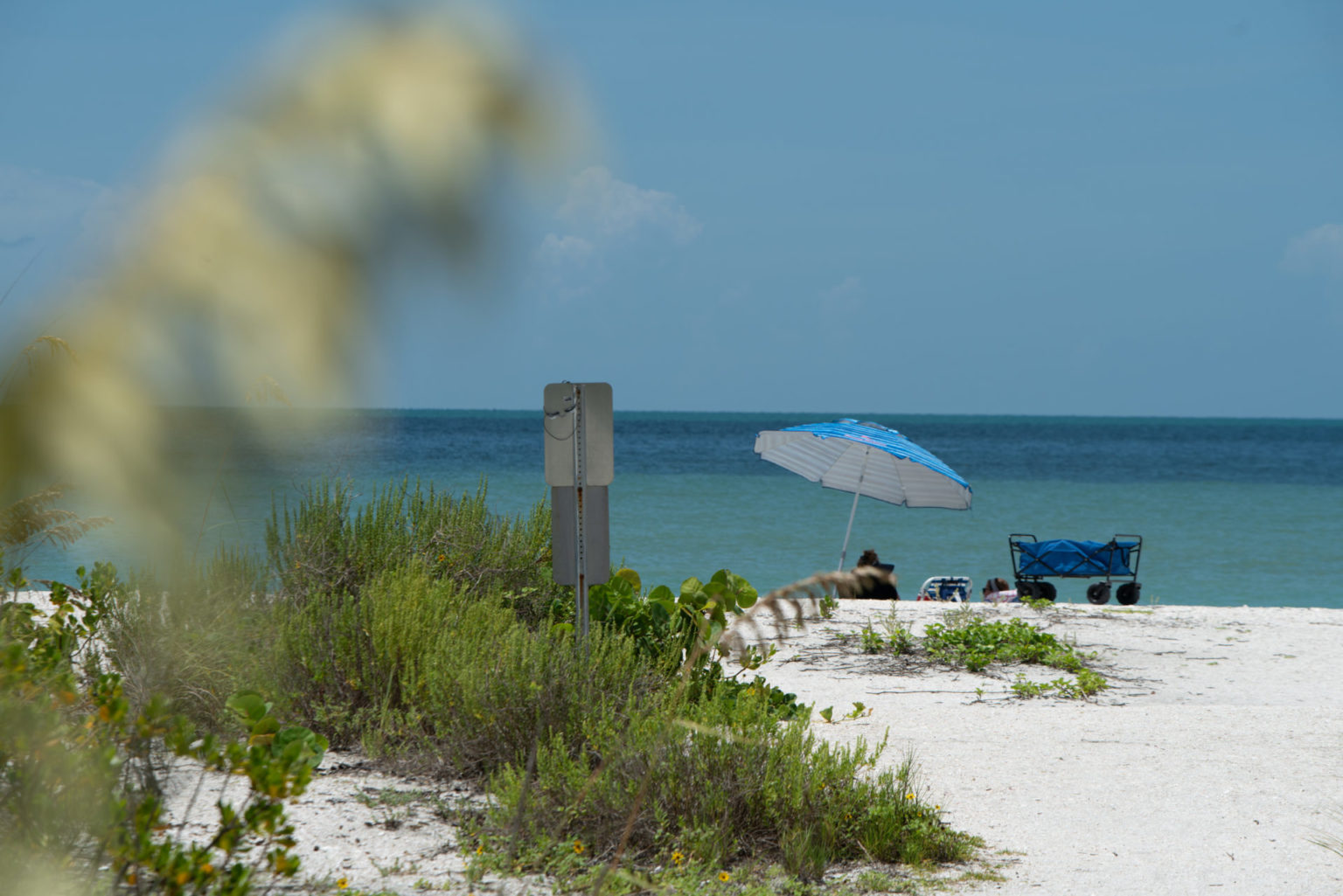 Top 3 Best Beaches For Shelling On Sanibel Island