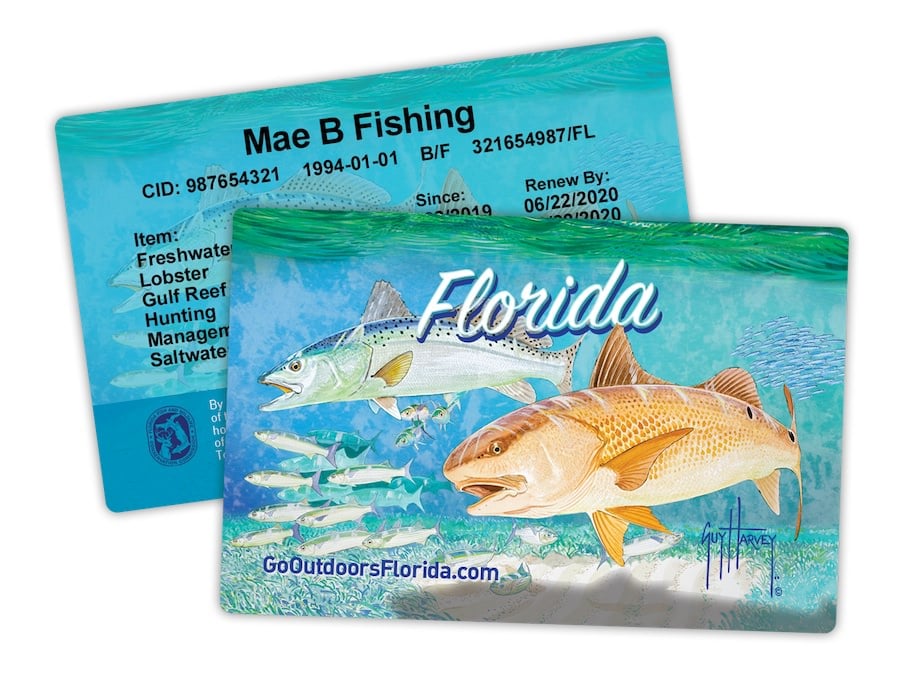 Florida Fishing Regulations, Licenses & Best Fishing Season