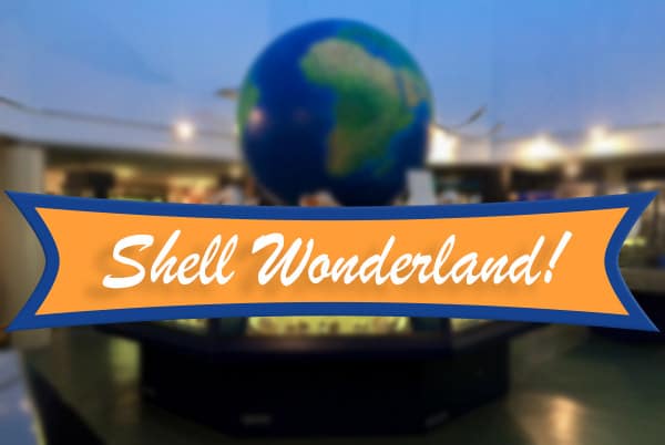 Shellwonderland