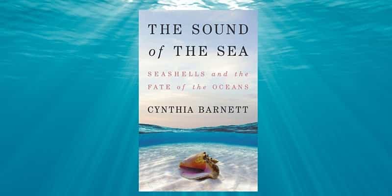 Sound of the Sea book