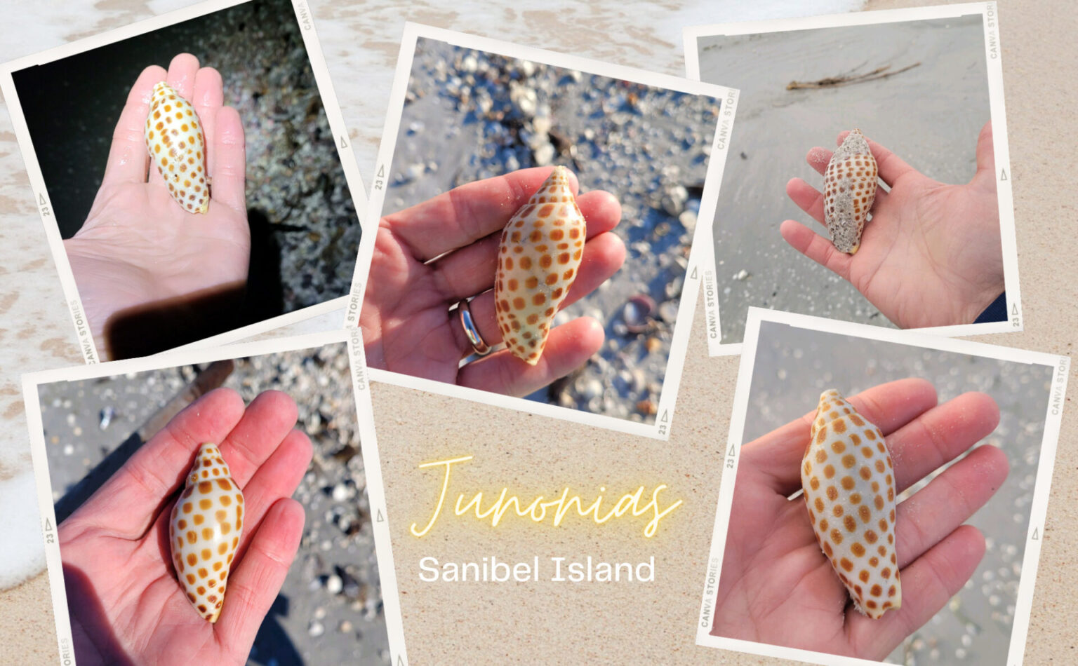Sanibel Island Beaches Sanibel Beaches Map & Parking Map