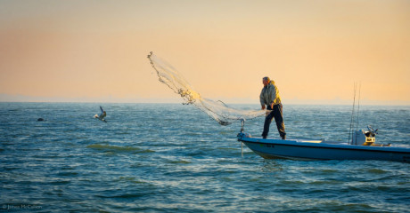 Sanibel-fisherman